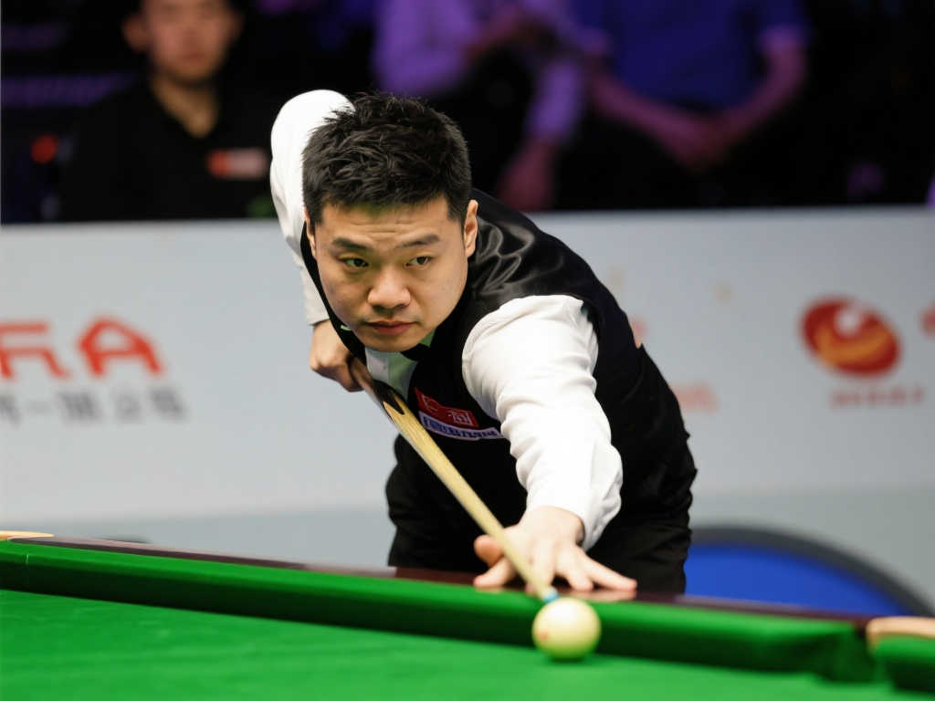 网友们的讨 网友们的讨